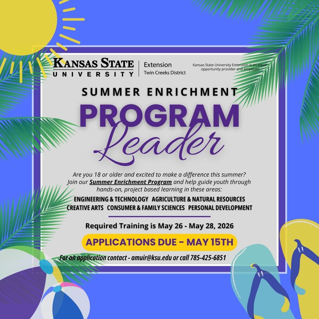 Summer Intern Marketing