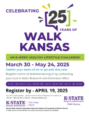 walk ks flyer