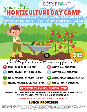 hort day camp flyer